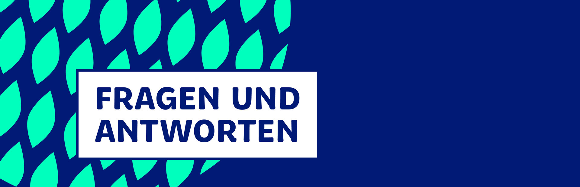 Fragen und Antworten